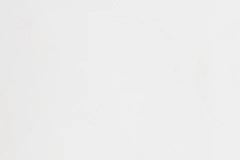 Arden Capri Pant | White - Image 11